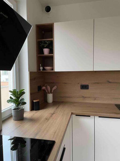 Mely Rose Apartment Ljubljana Exterior photo